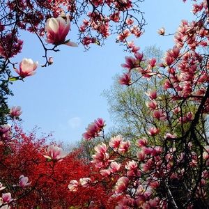 Meet your Posher, Jaime